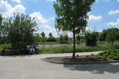SkylinePark.jpg_230
