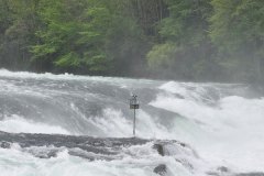 galerija-slika-2017-izlet-rheinfall-schaffhausen-017