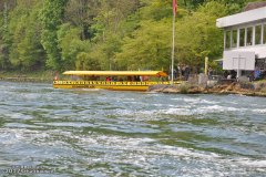 galerija-slika-2017-izlet-rheinfall-schaffhausen-073