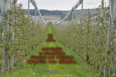 galerija-slika-2017-izlet-rheinfall-schaffhausen-096
